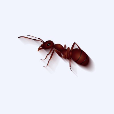 滅螞蟻